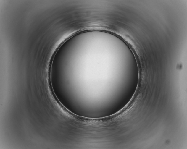 X0000098051333200804111302