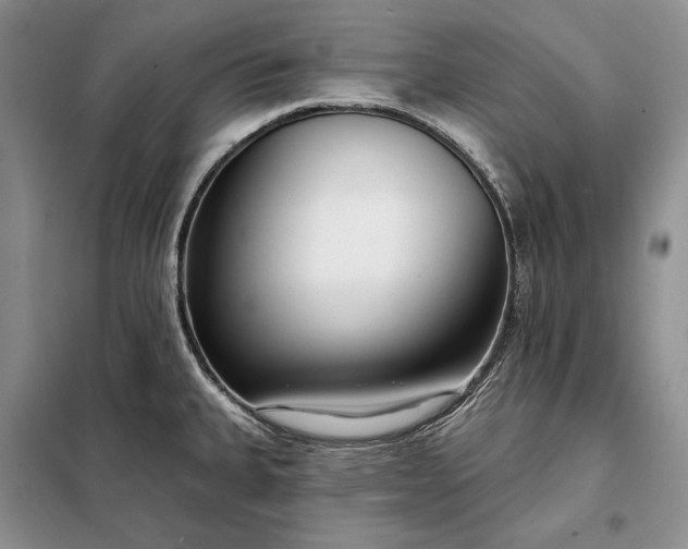 X0000098051335200804111303