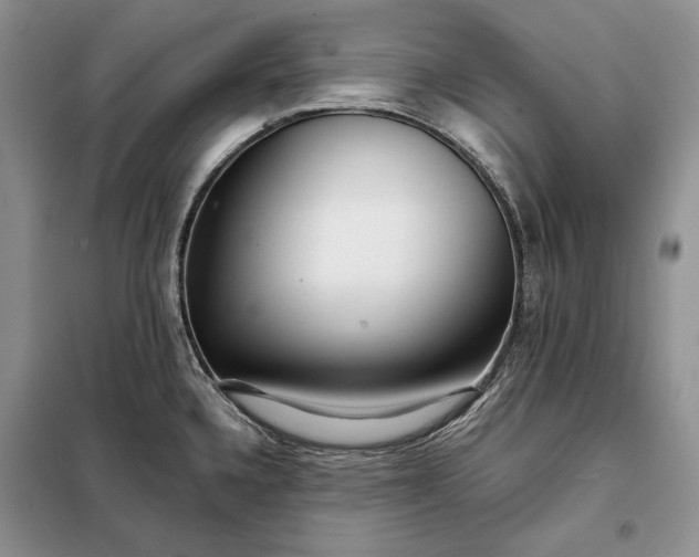 X0000098051336200804111303