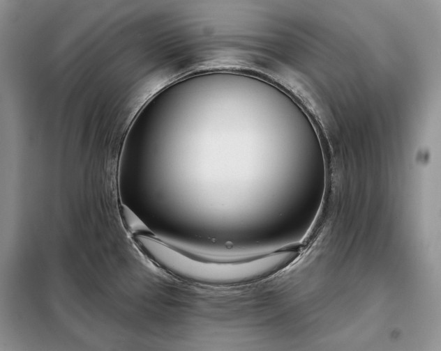 X0000098051337200804111303