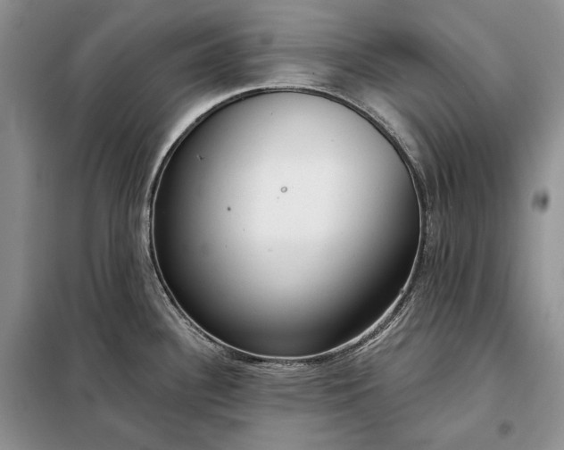 X0000098051340200804111303