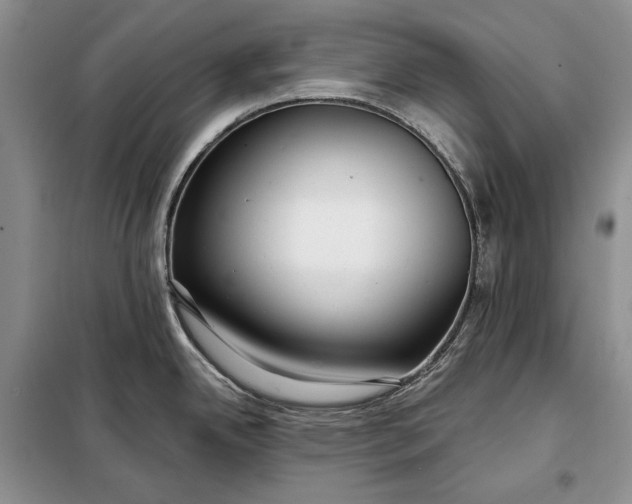 X0000098051342200804111303