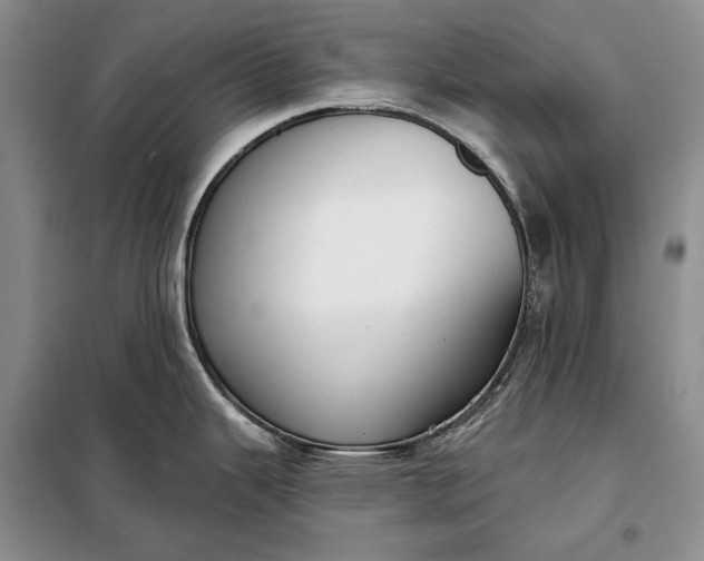 X0000098051343200804111303