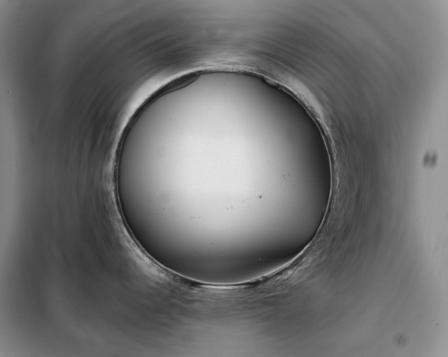 X0000098051344200804111303