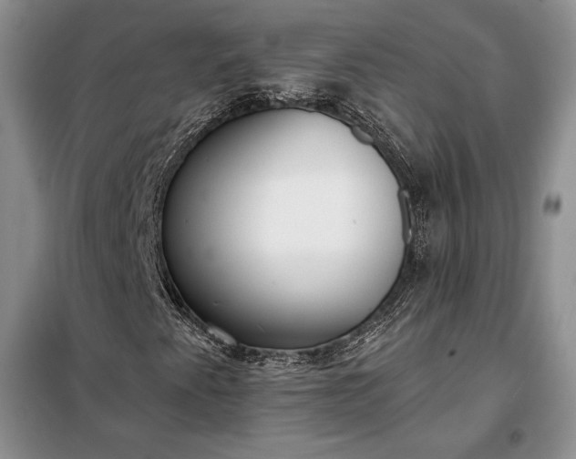 X0000098051345200804111302