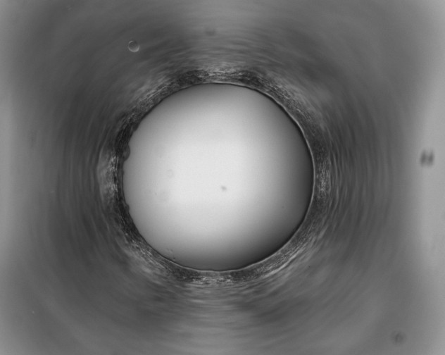 X0000098051346200804111302