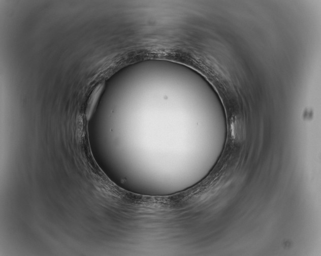 X0000098051347200804111302