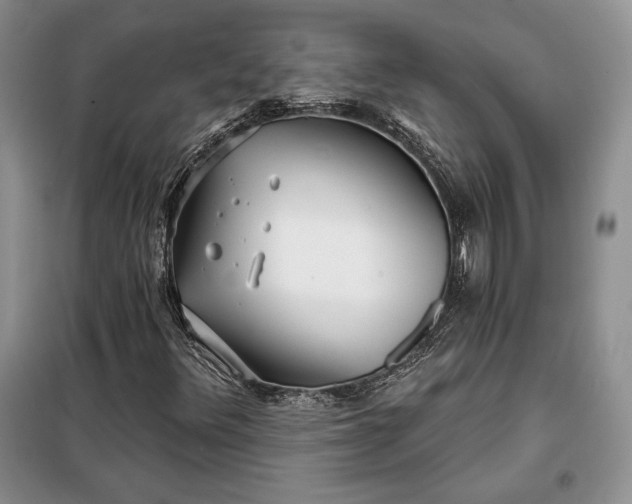 X0000098051348200804111302