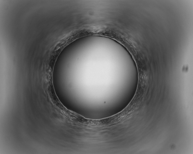 X0000098051349200804111302