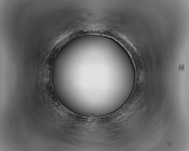 X0000098051350200804111302