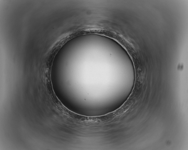 X0000098051351200804111302