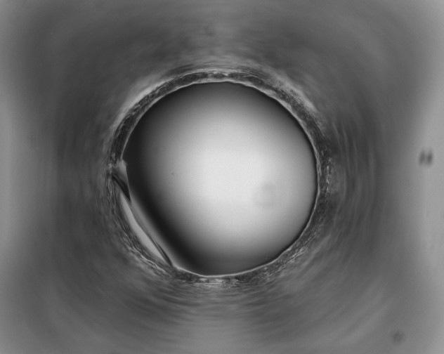 X0000098051352200804111302