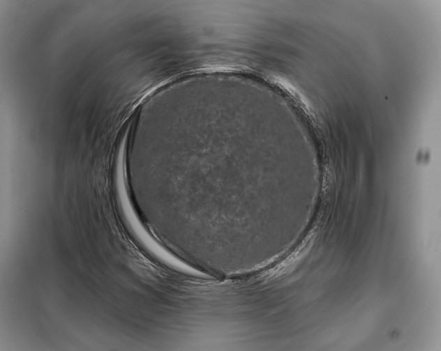 X0000098051353200804111302