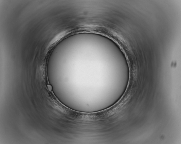 X0000098051354200804111302