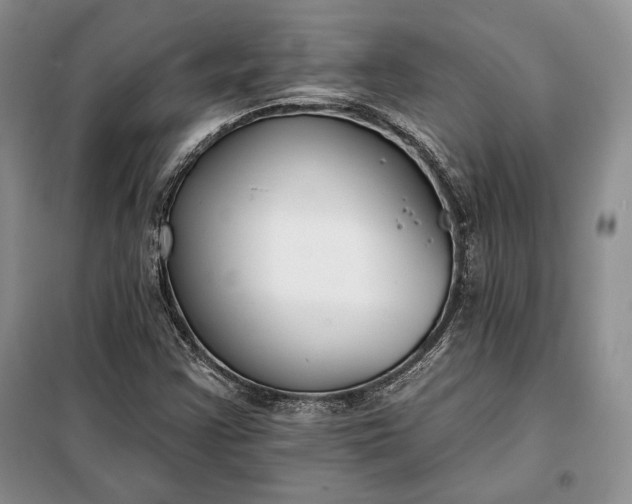 X0000098051355200804111302