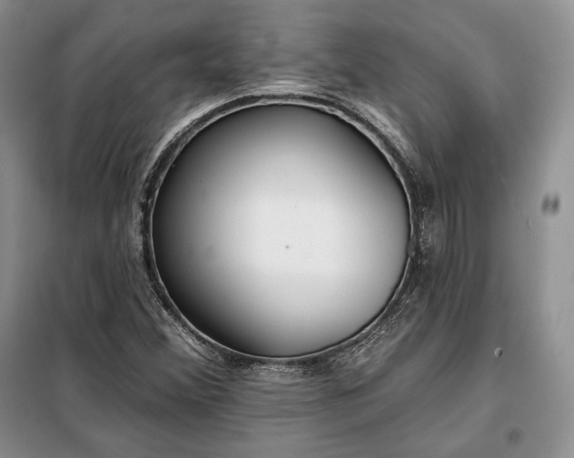 X0000098051356200804111302