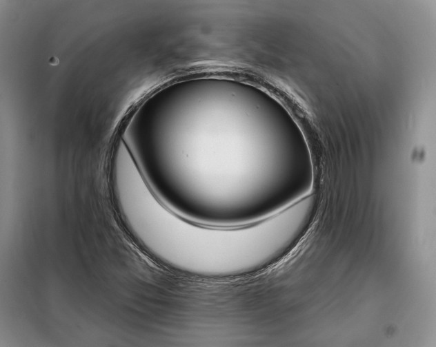 X0000098051357200804111302