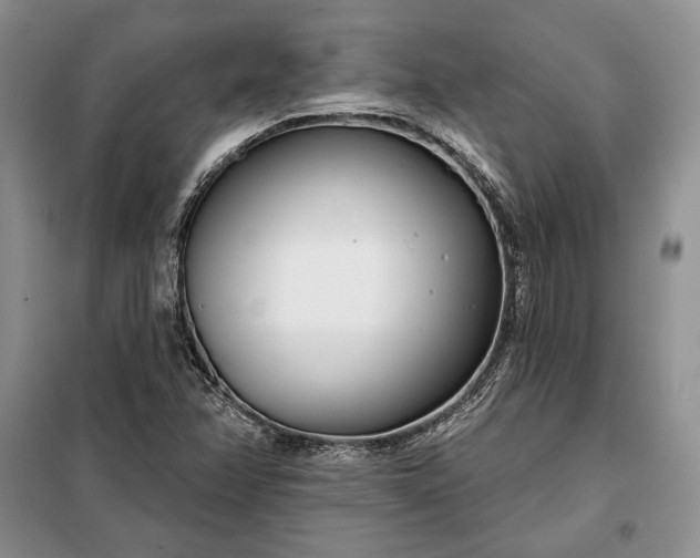 X0000098051358200804111302