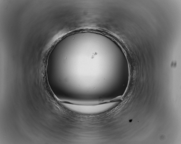 X0000098051359200804111302