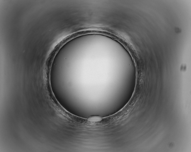 X0000098051360200804111302