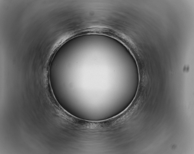 X0000098051362200804111302