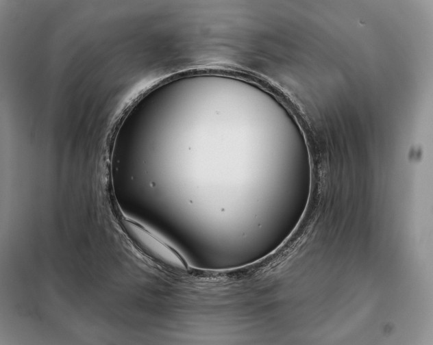 X0000098051363200804111302