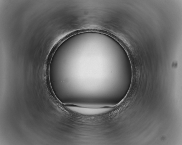 X0000098051364200804111302