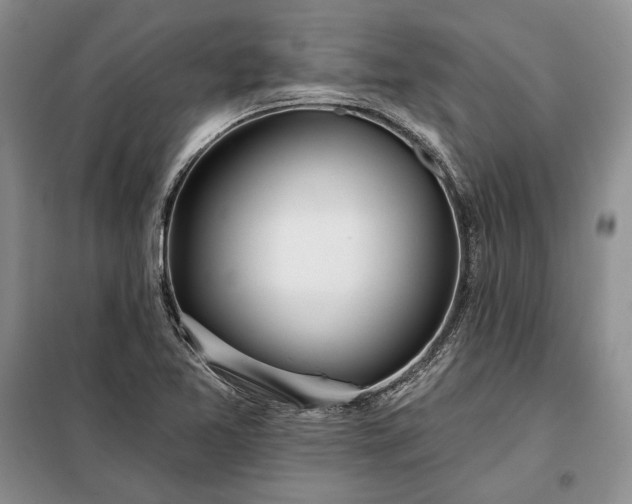 X0000098051365200804111302