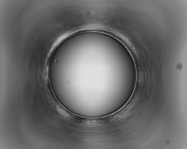 X0000098051366200804111302