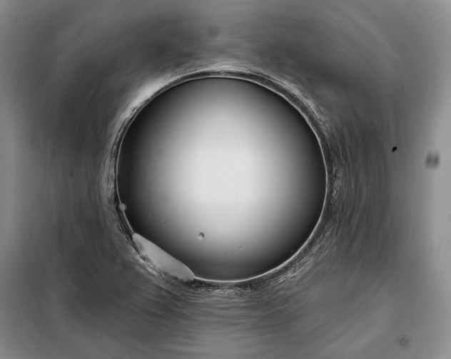 X0000098051367200804111302