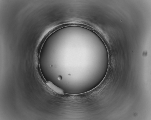 X0000098051368200804111302