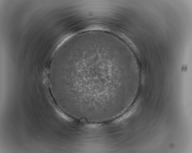 X0000098051369200804111302