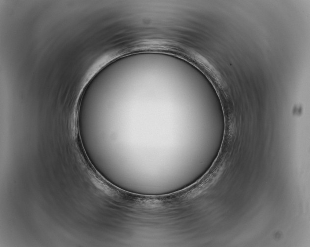 X0000098051370200804111302