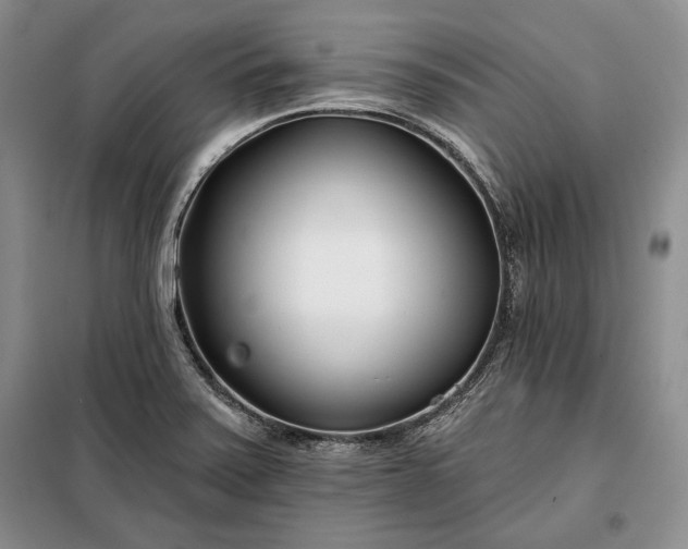 X0000098051371200804111302