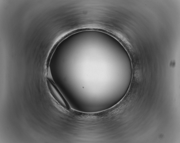 X0000098051372200804111302