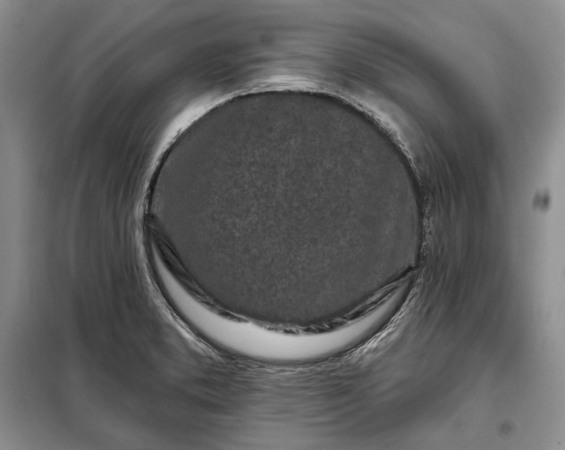 X0000098051373200804111302