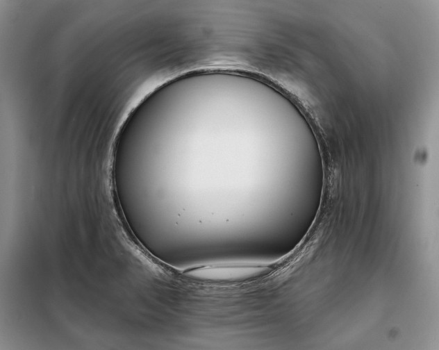 X0000098051374200804111302