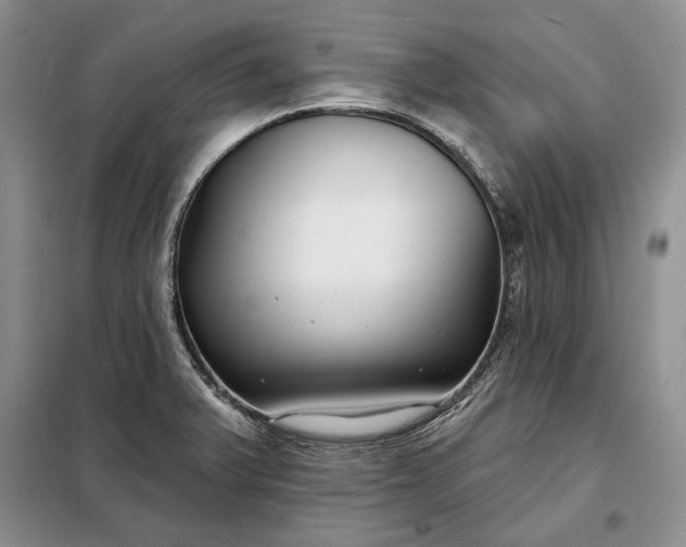 X0000098051375200804111302