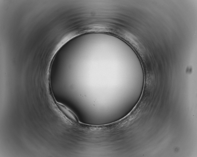 X0000098051378200804111302