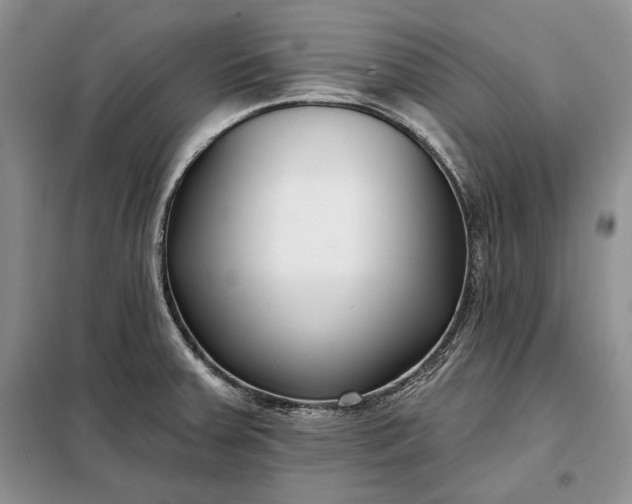 X0000098051379200804111302