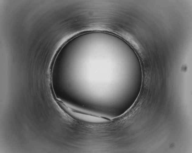 X0000098051380200804111301