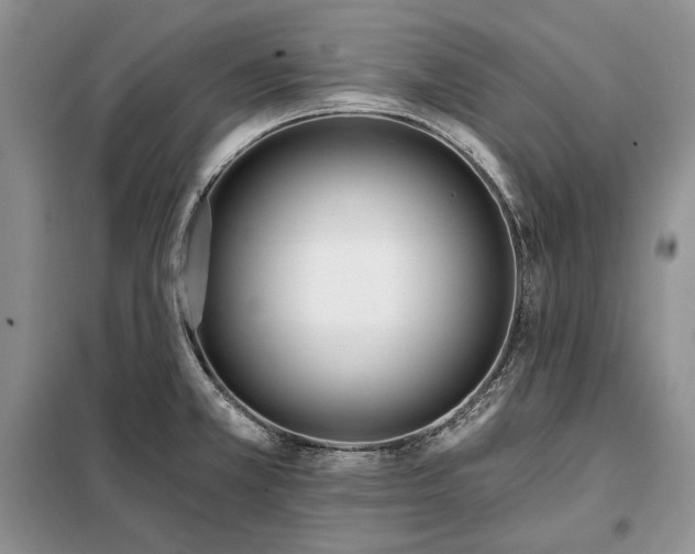 X0000098051381200804111301