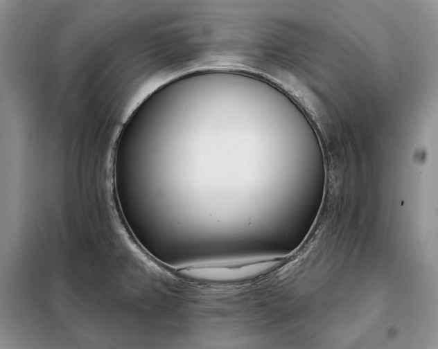 X0000098051382200804111301