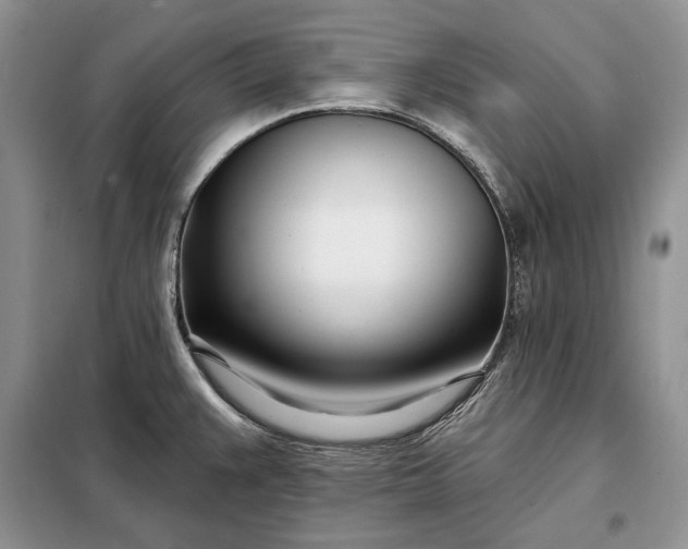 X0000098051383200804111301