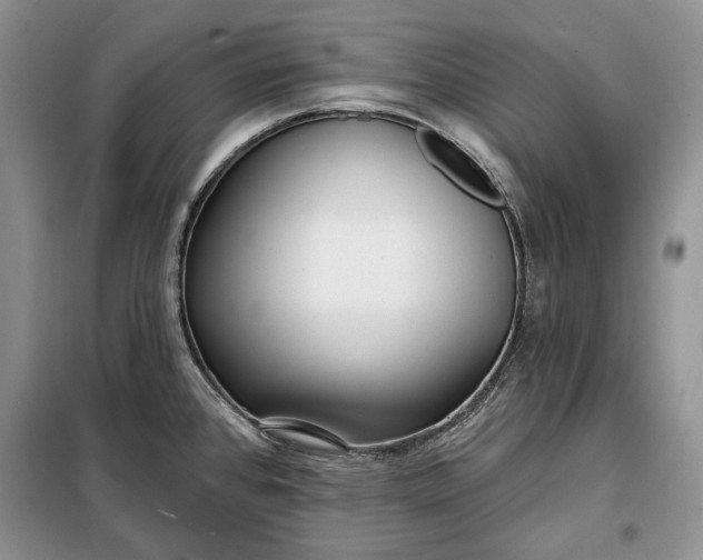 X0000098051384200804111301