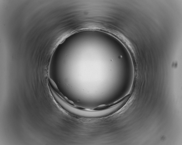 X0000098051385200804111301