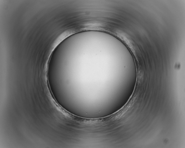 X0000098051386200804111301