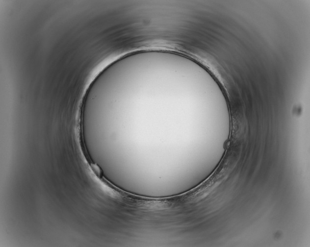 X0000098051387200804111301