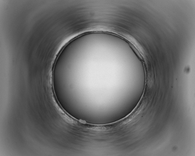 X0000098051388200804111301