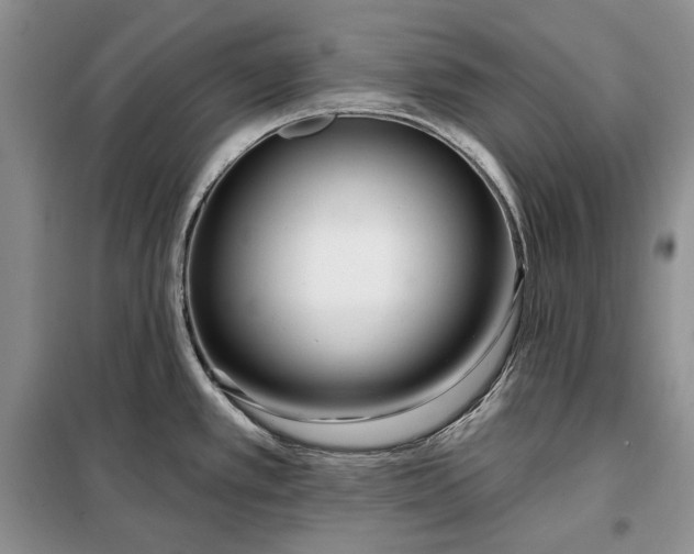 X0000098051389200804111301